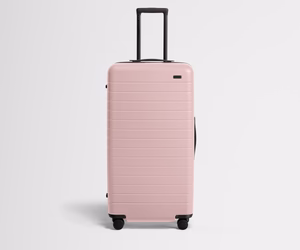 The Trunk in Blush Pink